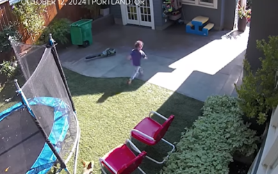 Coyote Chases 4-Year-Old Girl Through Her Backyard