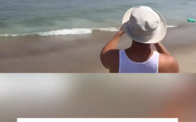 Beaches Closed After Shark Attacks Seal Near Surfers